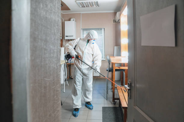 Best Air Quality Testing for Mold Spores  in New Ellenton, SC