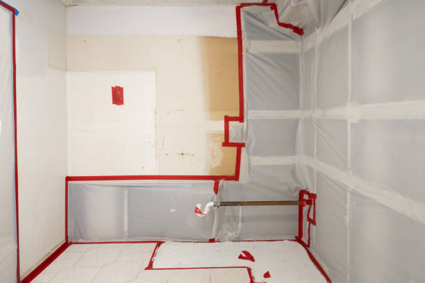  New Ellenton, SC Mold Removal Pros