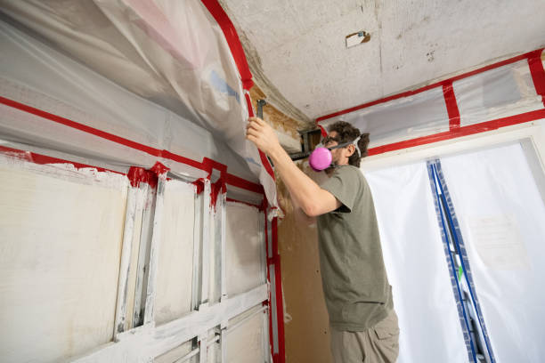 Best Mold Odor Removal Services  in New Ellenton, SC