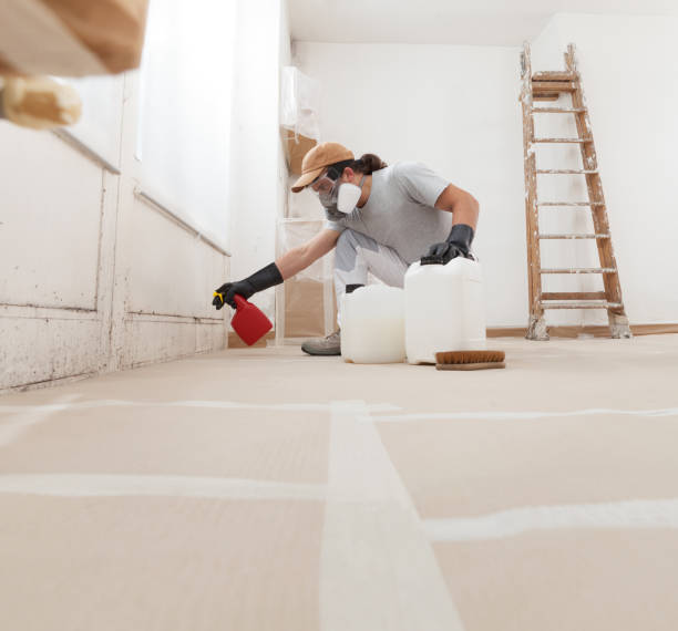 Best Mold Prevention Services  in New Ellenton, SC